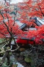2018最新伦理热门伦理62-2018年伦理热议，62例最新伦理议题剖析