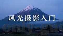 大象传媒回家视频免费-免费观看大象传媒回家，一场温馨的数字盛宴