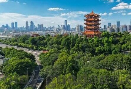 国产成人精品免费视频大全-国产成人精品免费视频大全，网络时代的文化与伦理边界