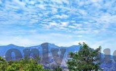 果冻传媒和麻豆短视频-数字媒体新势力，果冻传媒与麻豆短视频的崛起与影响