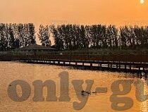 河南大象数字传媒-河南大象数字传媒，创新驱动下的媒体新生态