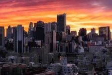 麻豆-av免费在线看-修正不良搜索习惯，守护网络信息纯净