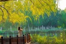 日韩黄色av网-探索网络世界的多元视角，日韩成人内容平台的现状与影响