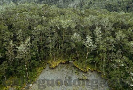 一区二区三区高清-探索高清视界，一区、二区、三区的视觉盛宴