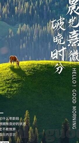 最近更新中文字幕手机版-探索最新中文字幕手机版，便捷观影新体验